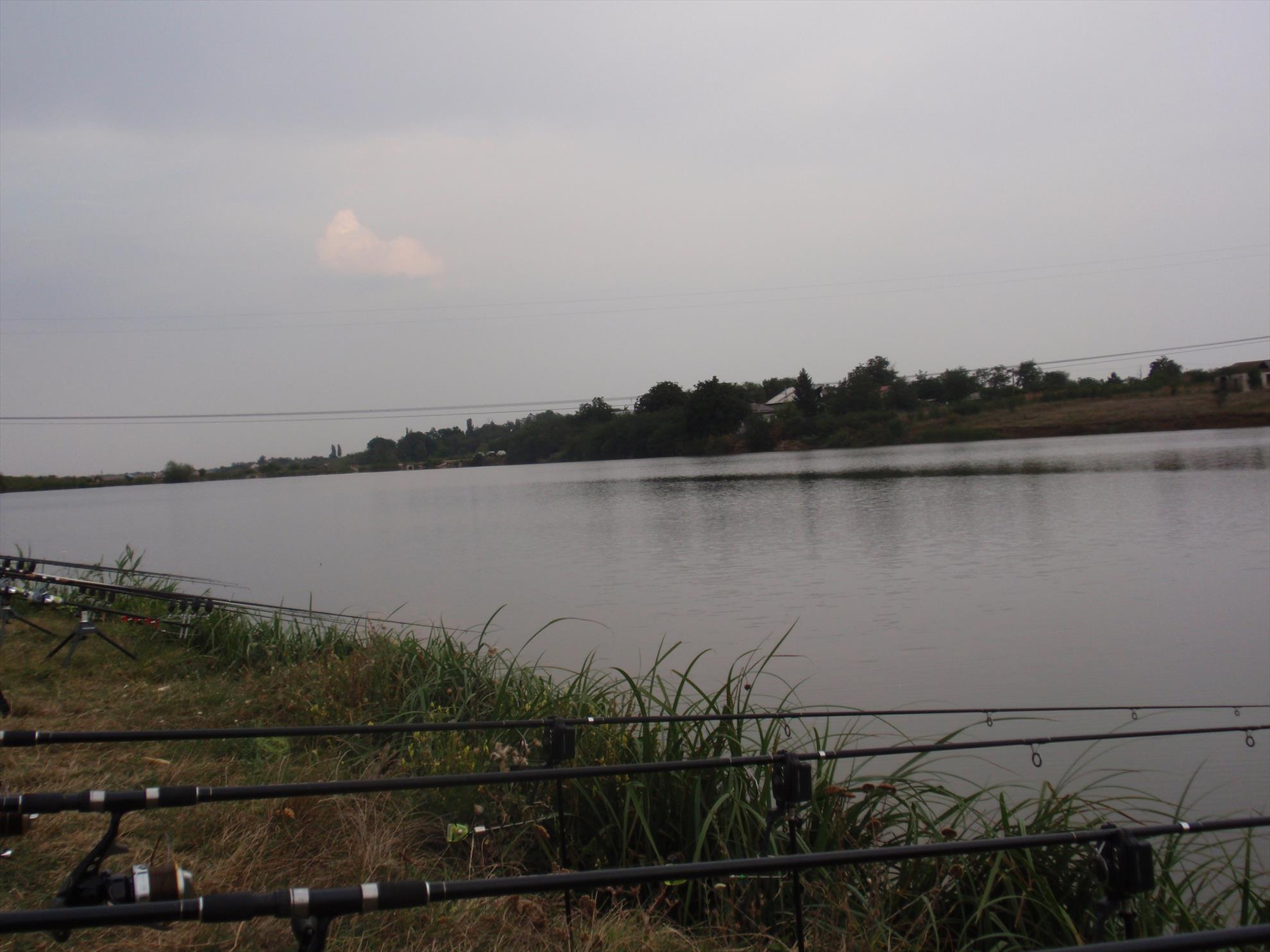 Din viata noastra... - p8240163.JPG